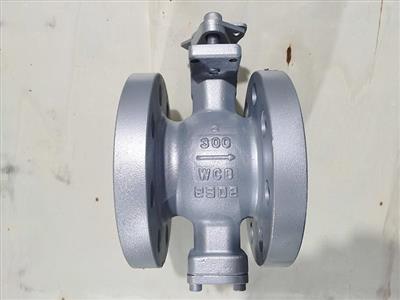 Segment Ball valve