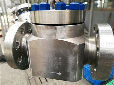 Pressure Seal Swing Check Valve