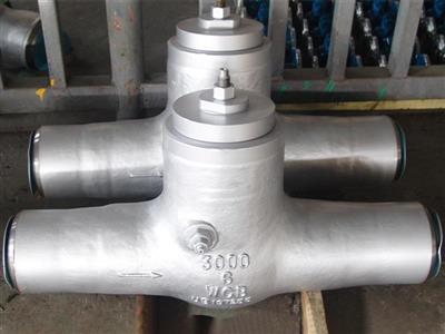 Pressure Seal Swing Check Valve