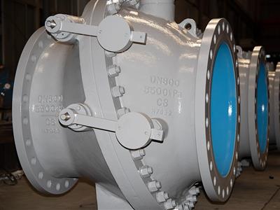 Reflux Check Valve