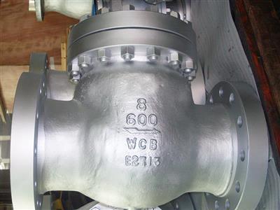 Swing check valve