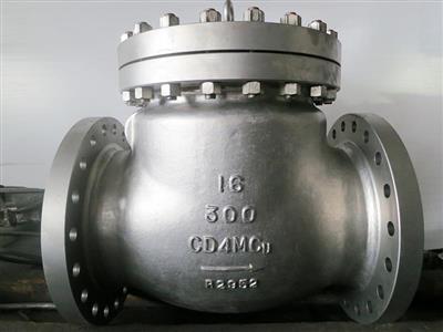 Swing check valve