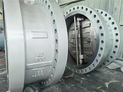 Wafer Check Valve