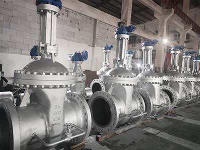 Bolted bonnet gate valve