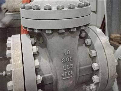 Cryogenic Gate Valve