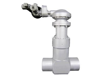 Pressure Seal Gate Valve