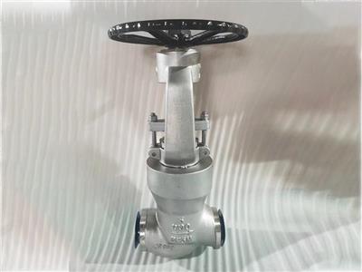 Pressure Seal Globe Valve