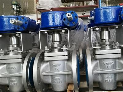 Sleeve Plug Valve