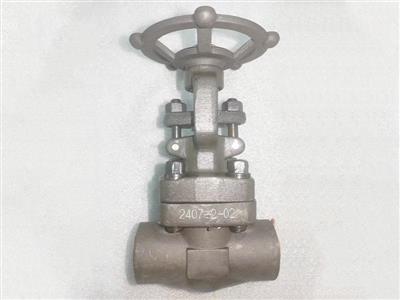 API602 Forged Gate valve