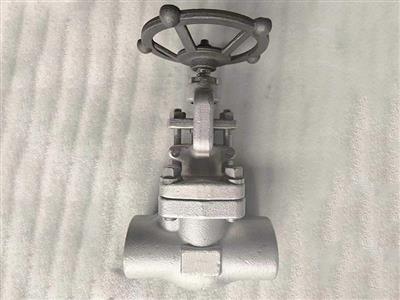 API602 Forged Gate valve