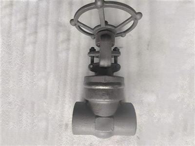 API602 Forged Gate valve