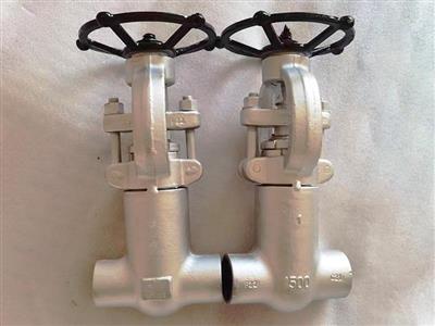 API602 Forged Gate valve