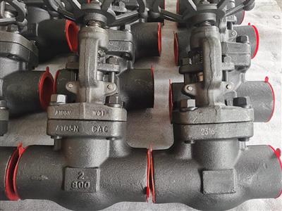 API602 Forged Globe valve