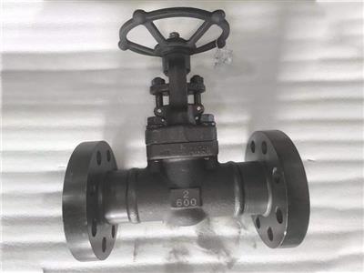 API602 Forged Globe valve