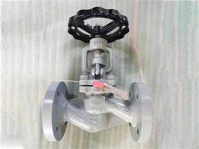 Bolted Bonnet Globe Valve