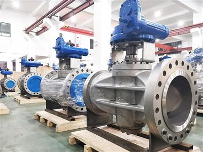 Sleeve Plug Valve