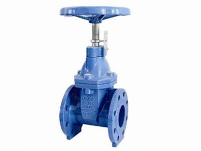 BS5163 Type B Non-Rising Stem Resilient Seated Gate Valve